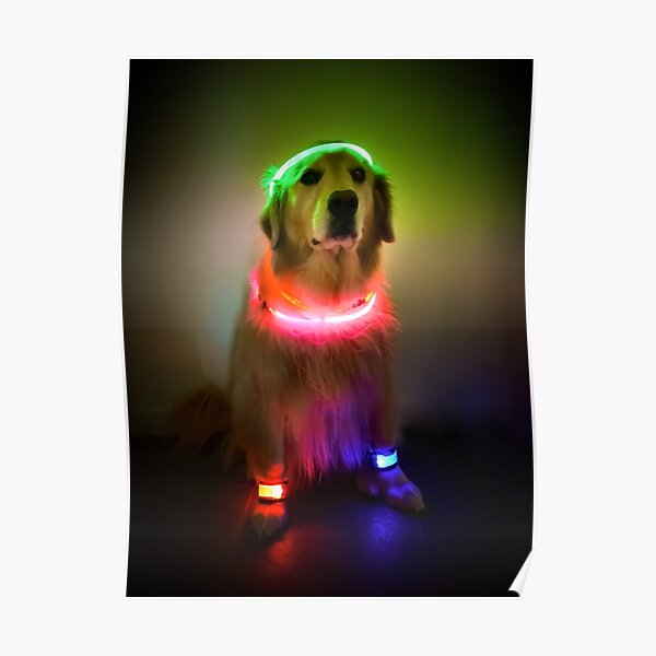 Rave Vink Poster