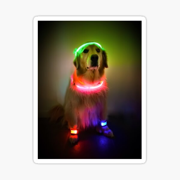 Rave Vink Sticker