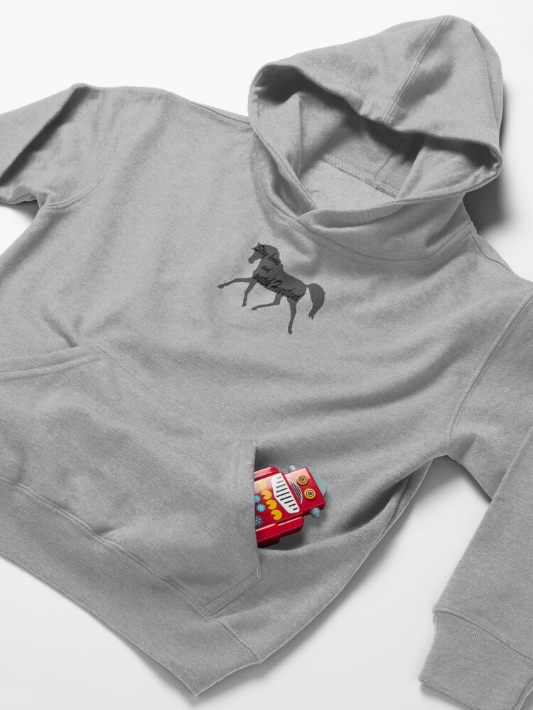 Alternate view of Stay home and watch Heartland Kids Pullover Hoodie