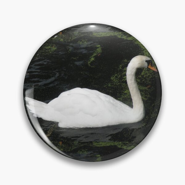 Item preview, Beautiful White Mute Swan Photograph designed and sold by naturegallery.