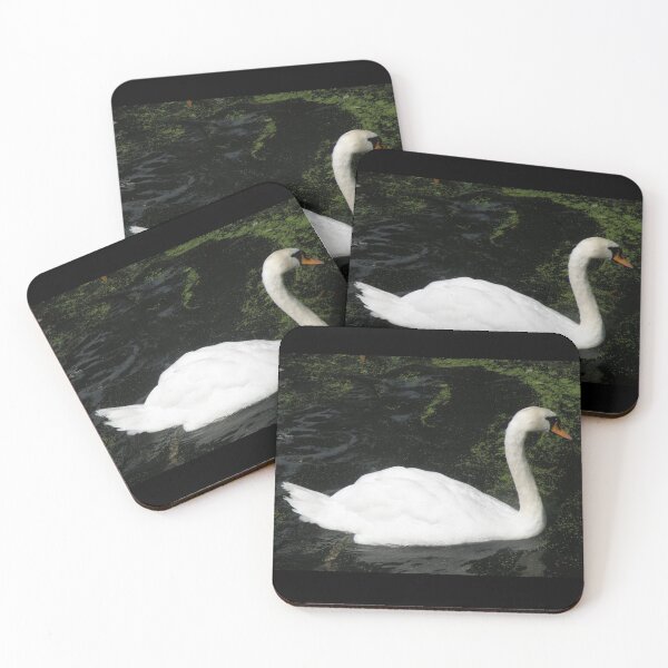 Item preview, Beautiful White Mute Swan Photograph designed and sold by naturegallery.