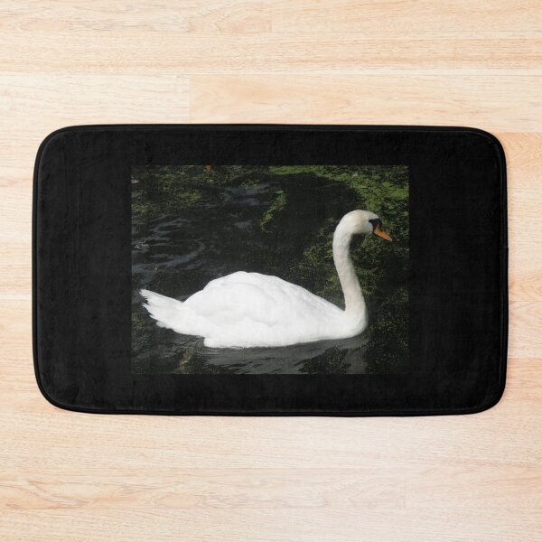 Item preview, Beautiful White Mute Swan Photograph designed and sold by naturegallery.