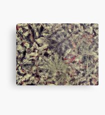 The texture of leaves Metal Print