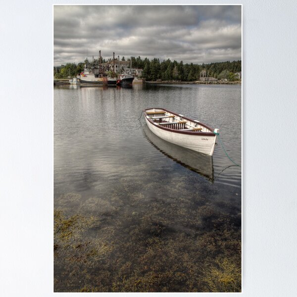 The Seaweed Coast Poster