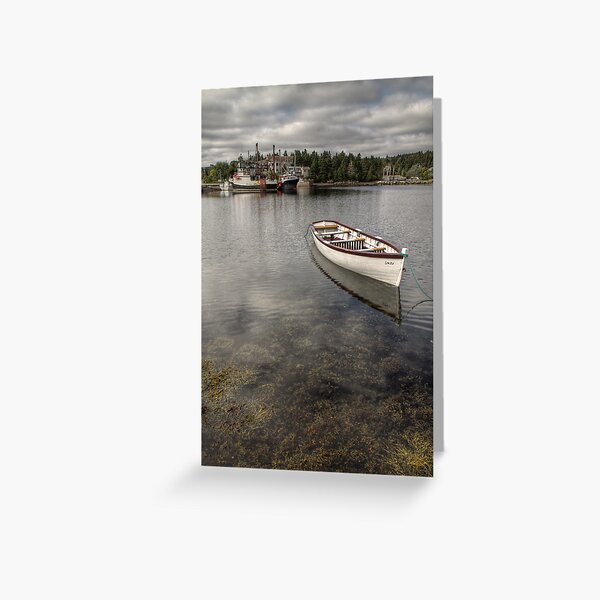 The Seaweed Coast Greeting Card