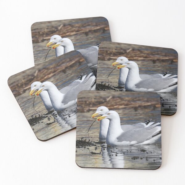 Item preview, Gulls collecting nest material designed and sold by GreyFeatherPhot.