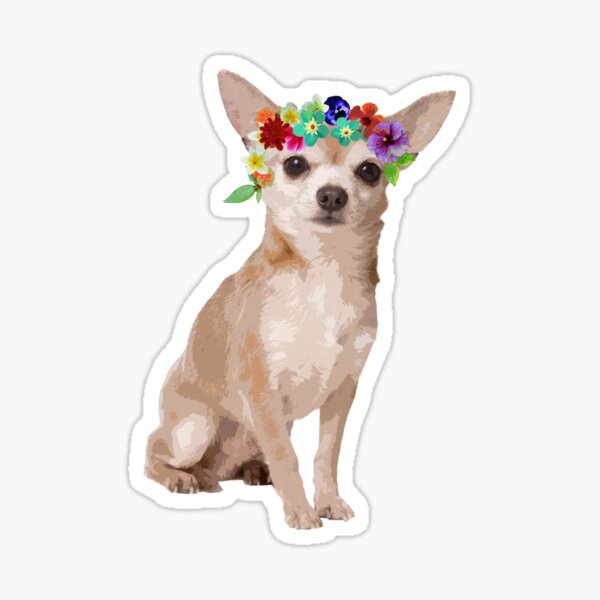 Chihuahua Stickers Redbubble