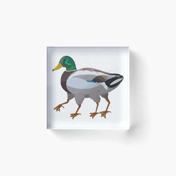 Four Legged Duck Acrylic Block