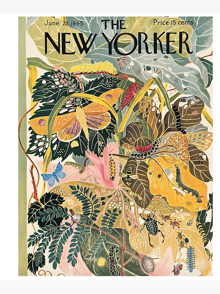 The New Yorker | "Nature, Leaves & Insects Art" | June 23, 1945 by artistik-soul