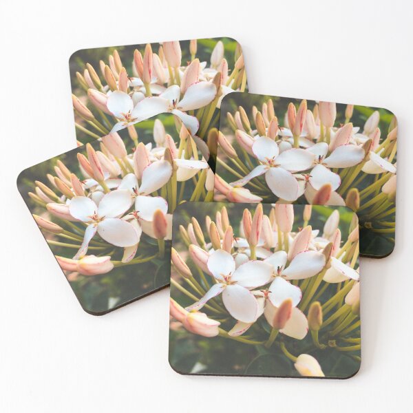 Item preview, Garden Time designed and sold by Big-MonkeyMX.