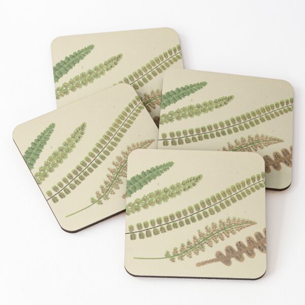 Item preview, Naturalist Fern Fronds designed and sold by BlueSpecsStudio.