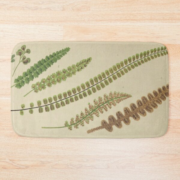 Item preview, Naturalist Fern Fronds designed and sold by BlueSpecsStudio.