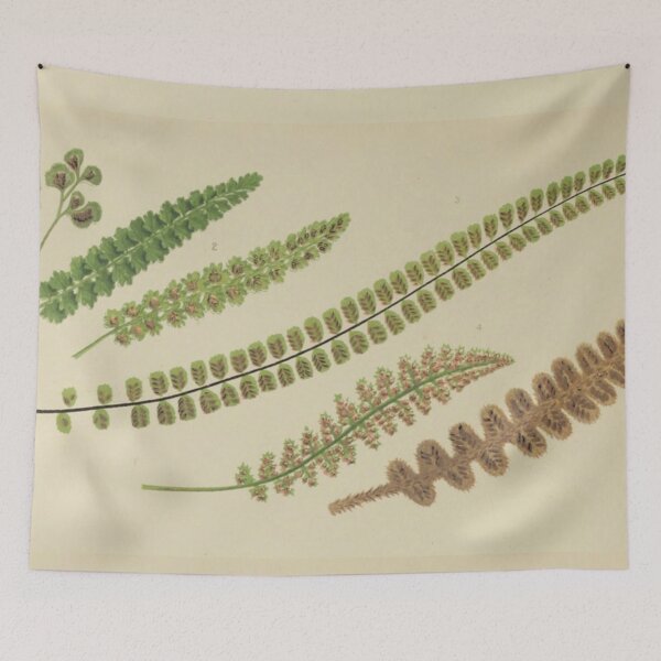Item preview, Naturalist Fern Fronds designed and sold by BlueSpecsStudio.