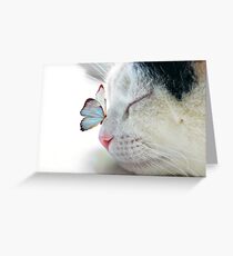 BUTTERFLY SAT ON A SLEEPING CAT NOSE Greeting Card
