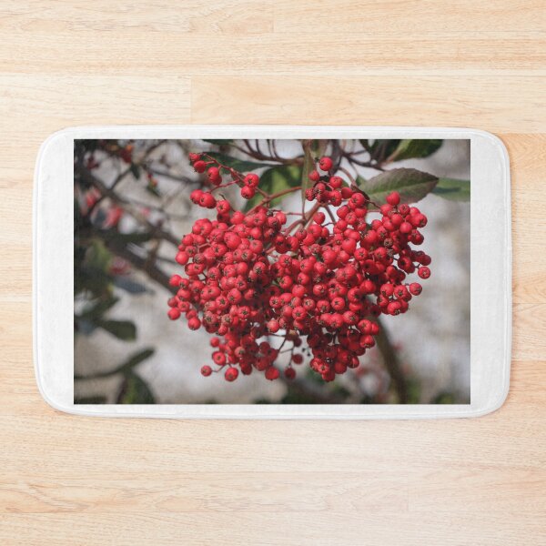 Item preview, Red Berries of the Toyon Plant designed and sold by Ian Christopher.