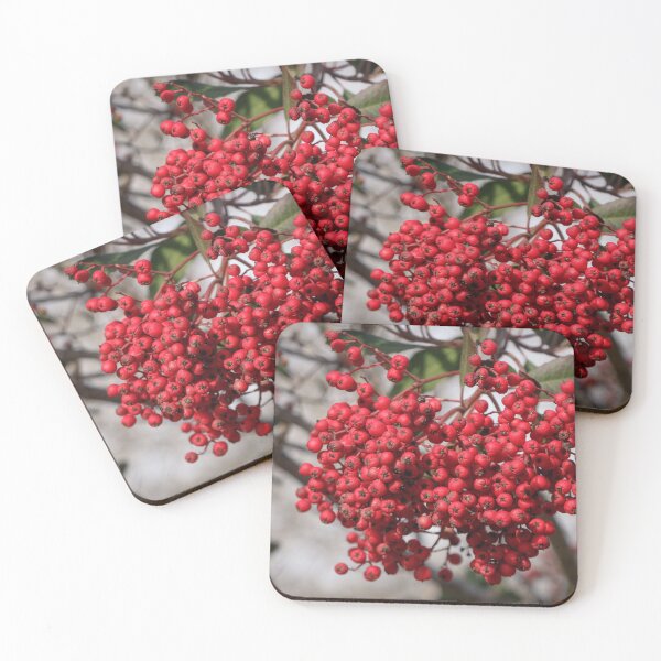 Item preview, Red Berries of the Toyon Plant designed and sold by Ian Christopher.