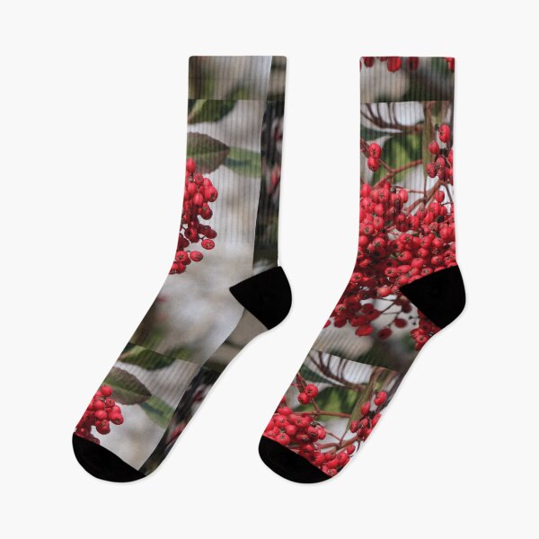 Item preview, Red Berries of the Toyon Plant designed and sold by Ian Christopher.