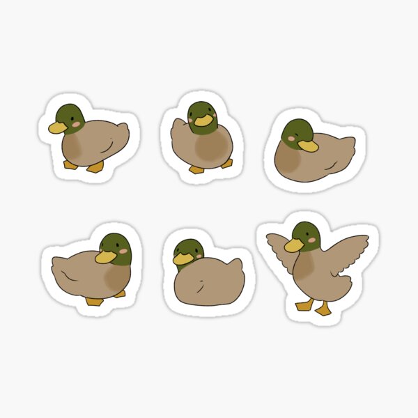 ducks brown Sticker
