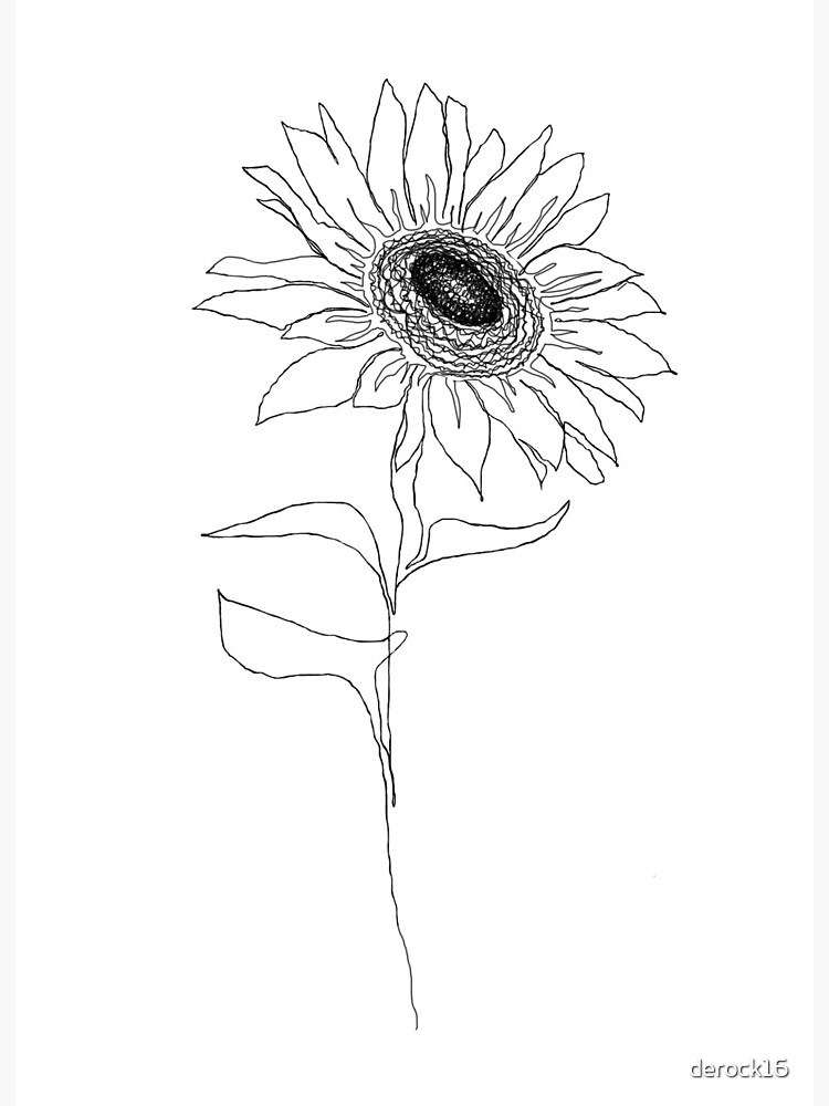 730+ Sunflower Pencil Drawing Stock Illustrations, Royalty-Free Vector  Graphics & Clip Art - iStock
