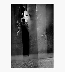 Afraid Photographic Print