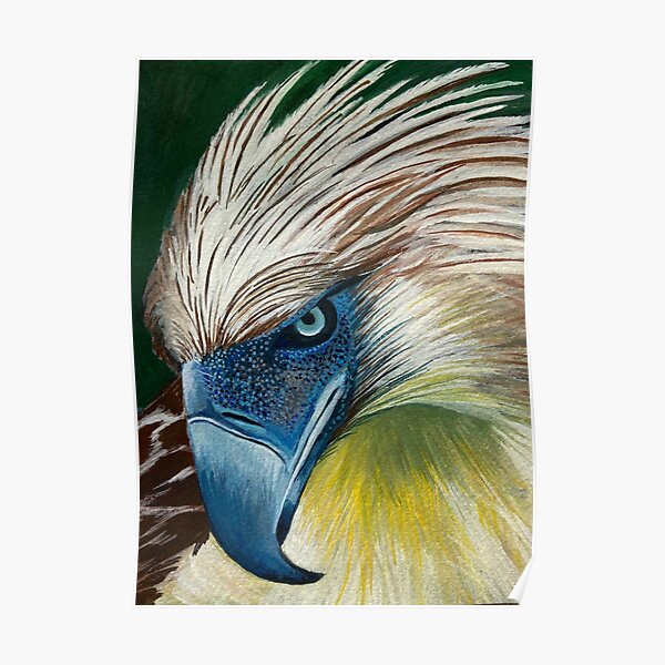 Silhouette Philippine Eagle Head Black White Stock Vector Royalty Free  1597887358  Shutterstock