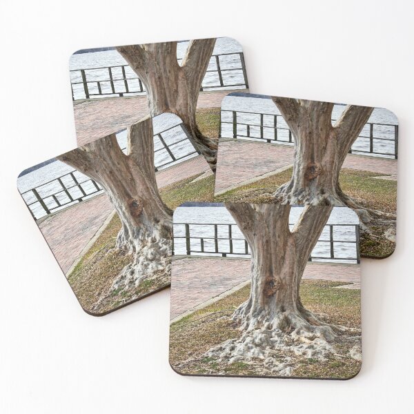 Item preview, Weird Looking Roots designed and sold by Carolyn Ricks.