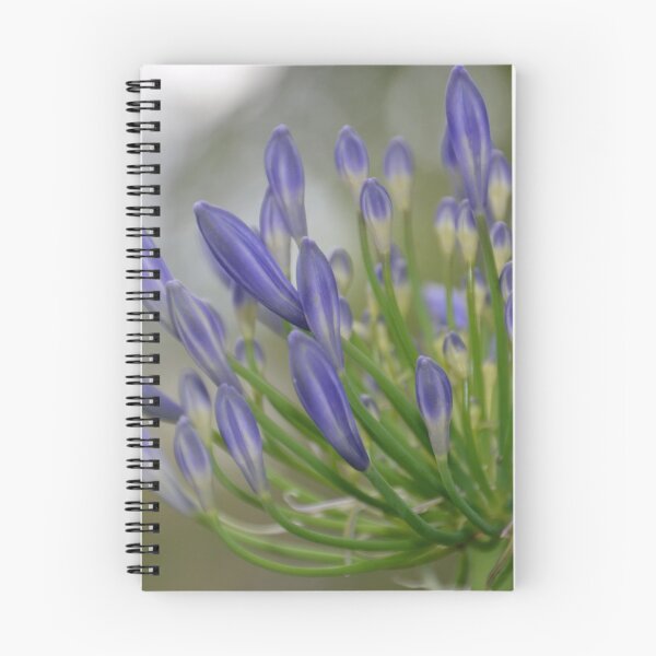 Item preview, Budding Agapanthus designed and sold by TheaShutterbug.