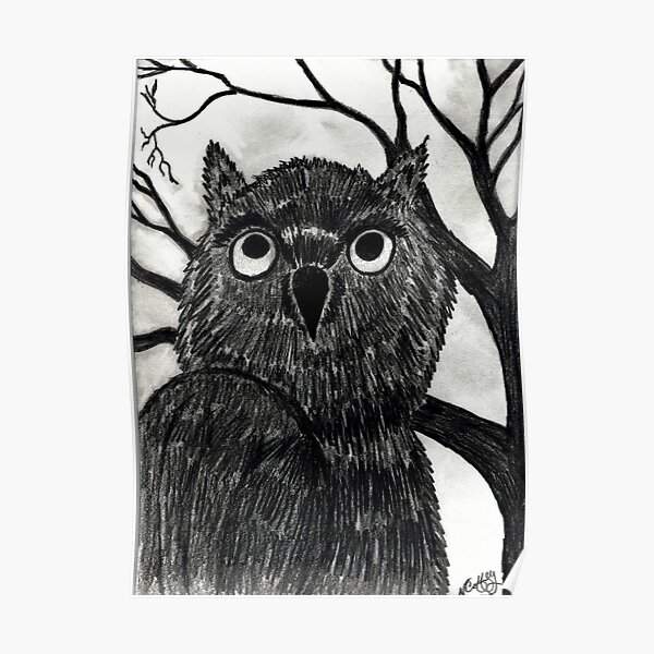 NIGHT OWL Poster