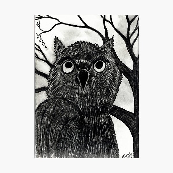 NIGHT OWL Photographic Print