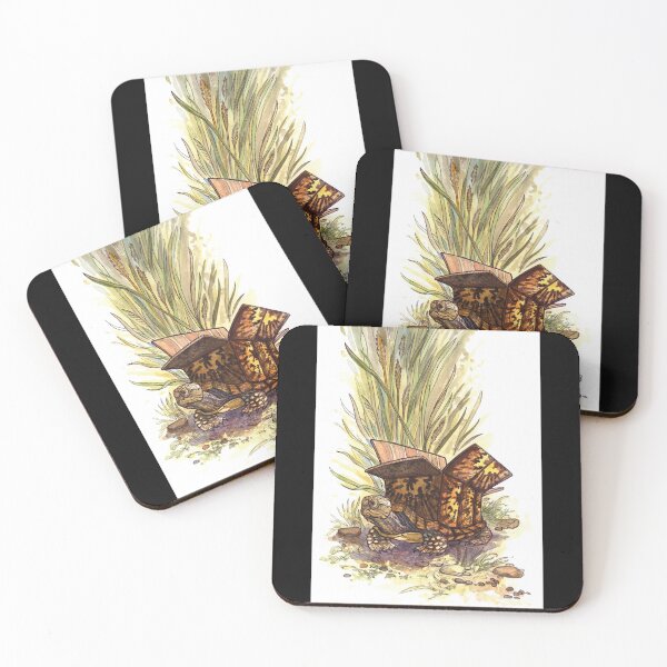 Item preview, Box Turtle - a visual pun designed and sold by LlynHunter.