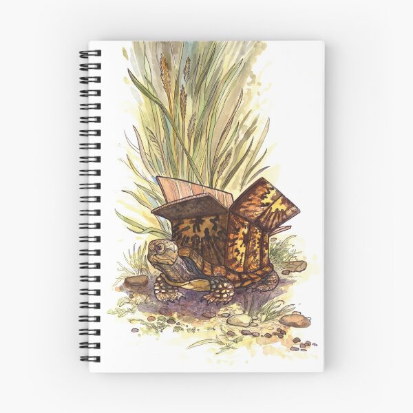 Item preview, Box Turtle - a visual pun designed and sold by LlynHunter.