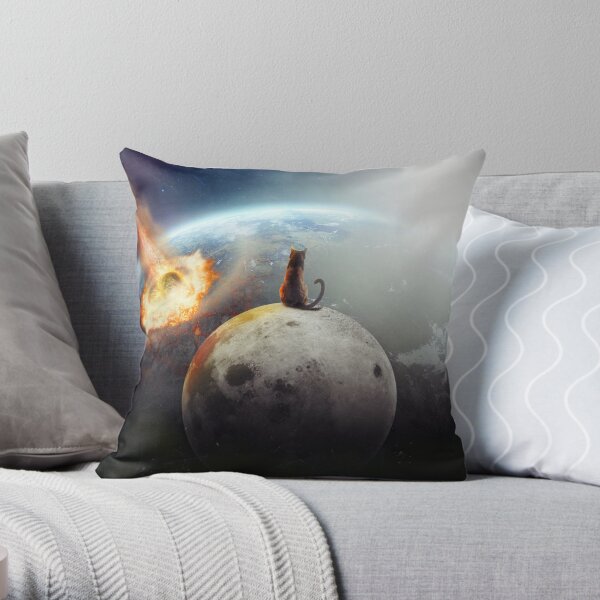 Throw Pillow