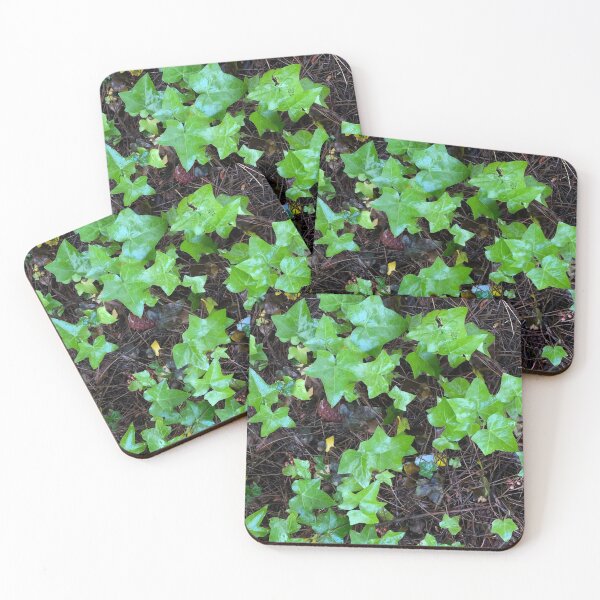Item preview, A Bed of Green Ivy designed and sold by NancyKHajjar.