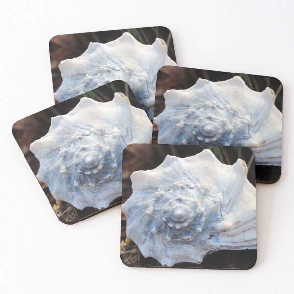 Item preview, Knobbed Whelk Shell designed and sold by Cynthia48.