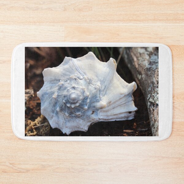 Item preview, Knobbed Whelk Shell designed and sold by Cynthia48.