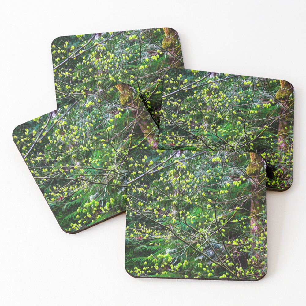 Item preview, Coasters (Set of 4) designed and sold by Bassbro.
