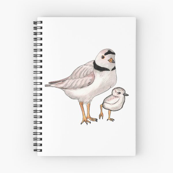 Item preview, Piping Plover with Chick designed and sold by TannerPeck.