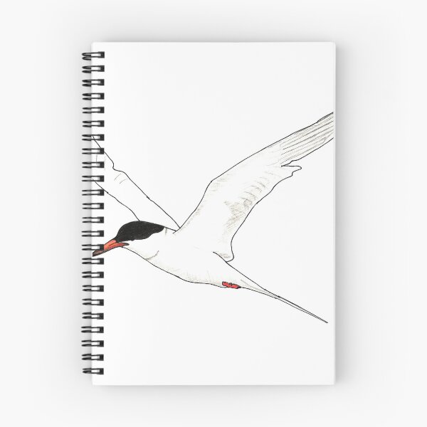 Item preview, Roseate Tern designed and sold by TannerPeck.