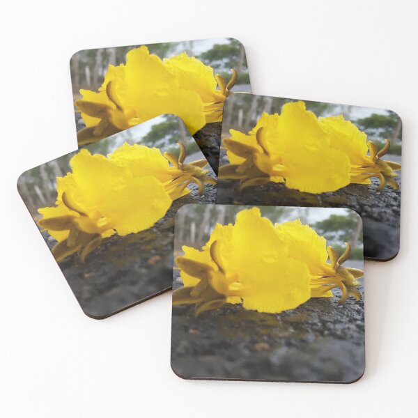 Item preview, Yellow flower on the road  designed and sold by RAJUBARHOI123.