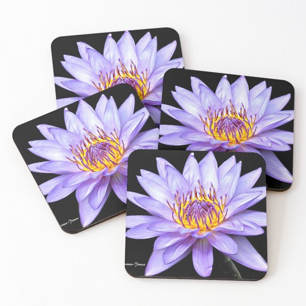 Item preview, Water Lily designed and sold by Shelley Loewnau-Jones Studio.