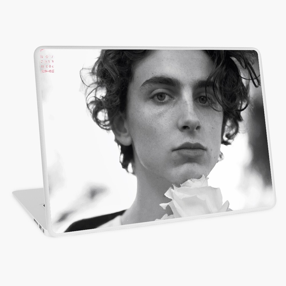 Timothee Chalamet iPad Case & Skin for Sale by halixoxo