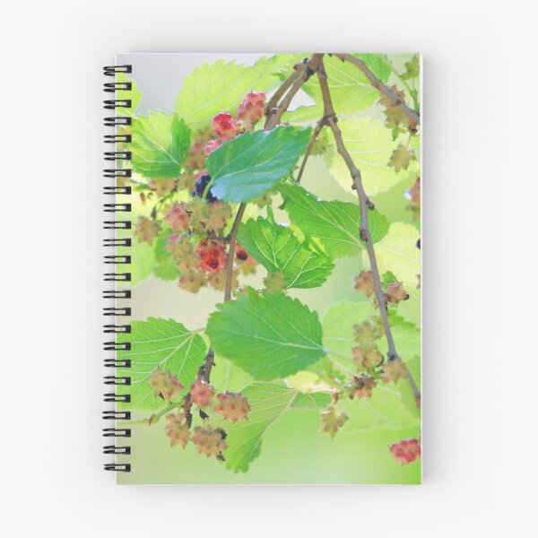 Item preview, Mulberries designed and sold by imaginethis.