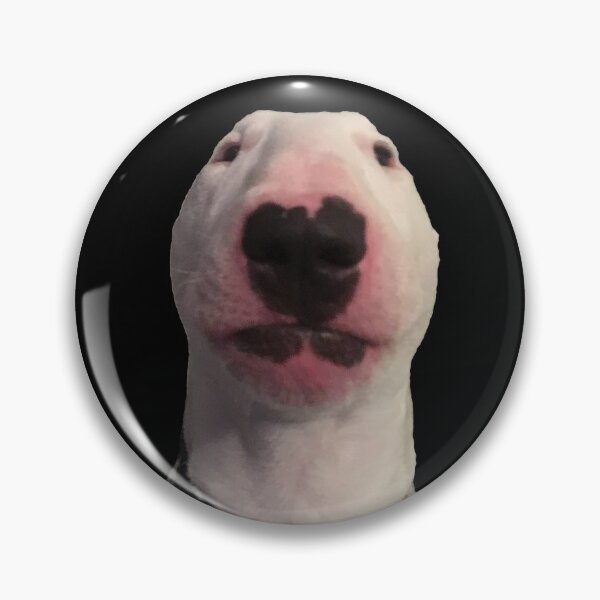 Item preview, @PupperNelson: Photo Meme Face (Dark Background) designed and sold by PupperNelson.