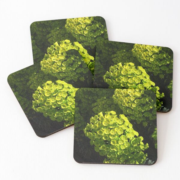 Item preview, Euphorbia designed and sold by wiggyofipswich.