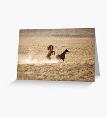 Stallion Challange Greeting Card