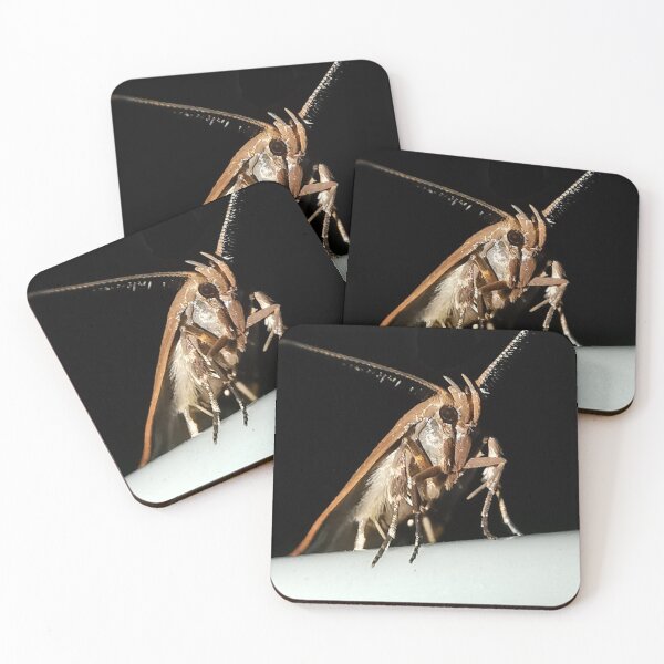 Item preview, Close up of micro moth designed and sold by KcsArt87.