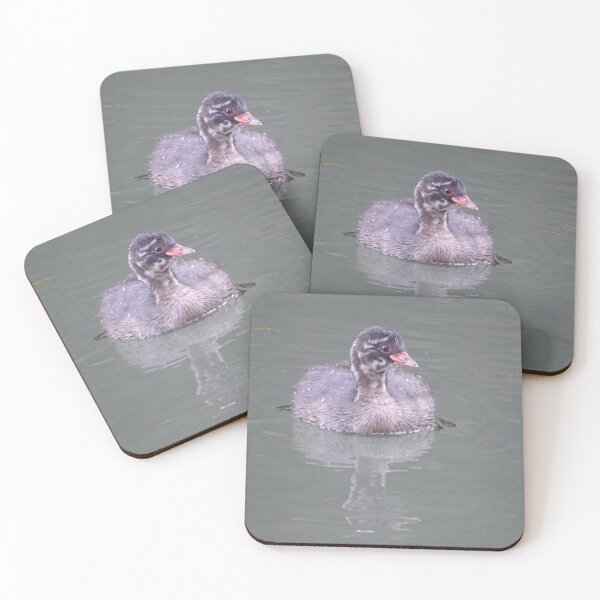 Item preview, Little Grebe Chick designed and sold by KcsArt87.