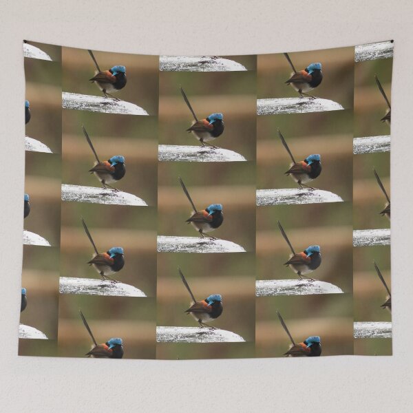 Item preview, Splendid Wren - Walpole, Western Australia designed and sold by Rosdenphoto.