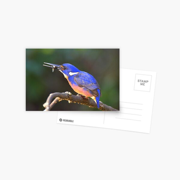 Item preview, " Azure Kingfisher " Marlo Vic. designed and sold by helmutk.