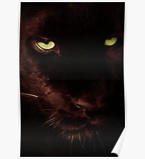 Panther Poster